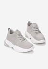 Szare Sneakersy Fowler
