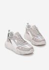 Srebrne Sneakersy Briony