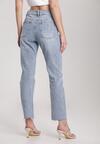 Niebieskie Jeansy Straight Leg Pallegale