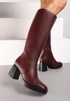 Cizme Ansilaria Bordo