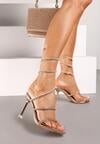 Pantofi stiletto Narolinea Culoarea șampaniei