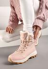 Botine Roz