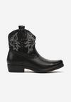 Botine Savanellae Argintii