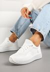 Sneakers Wilaria Albi
