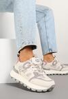 Sneakers Tolissea Gri