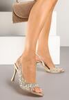 Pantofi stiletto Falarila Aurii