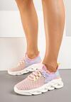 Sneakers Sanilova Roz
