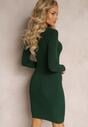 Rochie mini verde închis cu dungi cambrată cu mânecă lungă Annkatrise