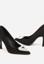 Pantofi stiletto Evabellea Negri