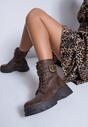 Botine Bej