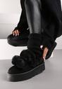 Apreschiuri Negre