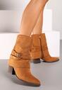 Botine maro
