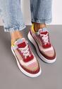 Bordo Tenisice