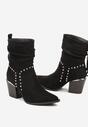 Botine negre
