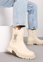 Botine Bej