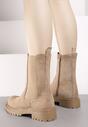 Botine Bej