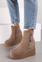 Botine Bej