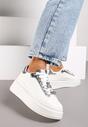 Sneakers Veresia Argintii