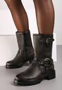 Botine Argintii