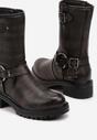 Botine Argintii