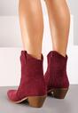Botine Saivana Bordo