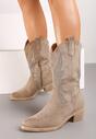 Botine Narice Bej