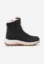 Botine Negre