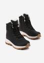 Botine Negre
