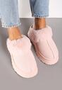 Apreschiuri Inarine Roz