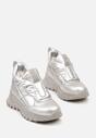 Sneakers Resilie Argintii