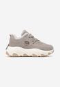Sneakers Delasiel Gri