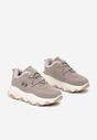 Sneakers Delasiel Gri