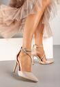 Pantofi stiletto Alennia Culoarea șampaniei