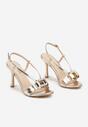 Pantofi stiletto Aridwenna Aurii