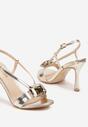 Pantofi stiletto Aridwenna Aurii