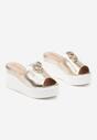 Papuci Zelamira Aurii