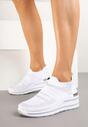 Sneakers Polreia Albi
