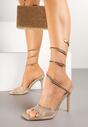 Pantofi stiletto Camiora Aurii