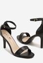 Pantofi stiletto Tatanira Negri
