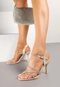 Pantofi stiletto Wanilia Aurii