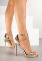 Pantofi stiletto Silirea Aurii
