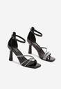Pantofi stiletto Alimora Negri