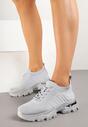 Sneakers Neltewia Gri