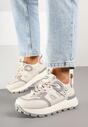 Sneakers Tolissea Gri