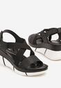 Lisanisa Negre