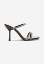 Pantofi stiletto Ridianna Negri