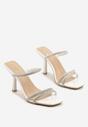 Pantofi stiletto Ridianna Albi