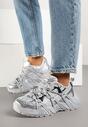 Sneakers Eledisa Argintii