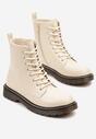 Botine Bej