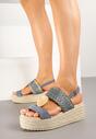 Sandale Napine Albastre